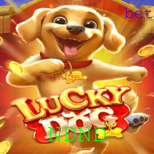 Desvendando o Fascinante Mundo de LuckyDog e NDND