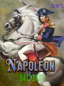 Descobrindo o Jogo Napoleon: Regras, Descrição e Introdução
