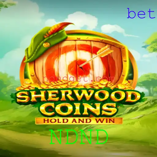 SherwoodCoins: Mergulhe na Aventura do Mundo de NDND